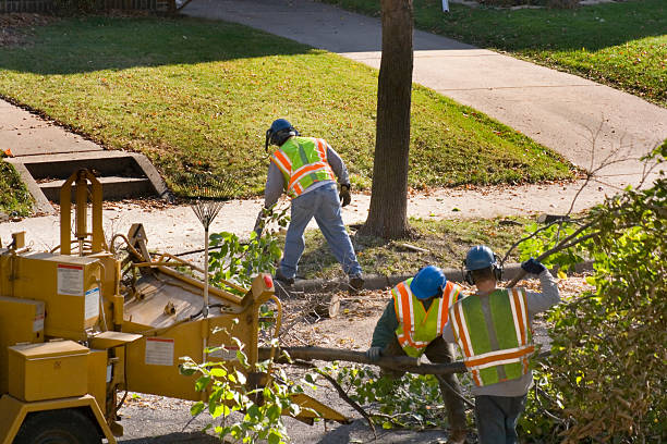 Best Arborist Consultation Services  in Mobile, AL